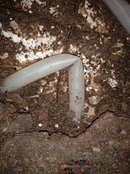 天全堵点精准查找